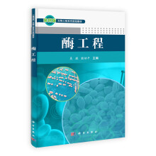 酶工程