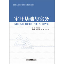 审计基础与实务/技能型人才培养特色名校建设规划教材