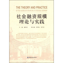 社会融资规模理论与实践