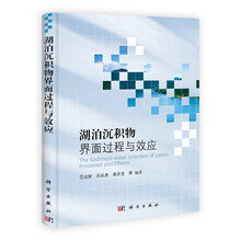 湖泊沉积物界面过程与效应