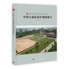 中国大遗址保护调研报告1