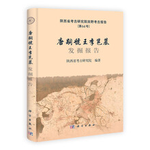 陕西省考古研究院田野考古报告（第64号）：唐嗣虢王李邕墓发掘报告