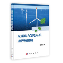 永磁风力发电系统运行与控制