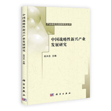 中国战略性新兴产业发展研究