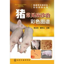 书籍图片