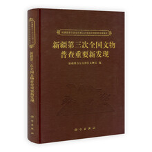 新疆第三次全国文物普查重要新发现（精）/新疆维吾尔自治区第三次全国文物普查成果集成