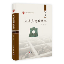大辛庄遗址研究(研究卷 资料卷)