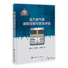 盐穴储气库造腔控制与安全评估