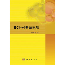 BCI：代数与半群