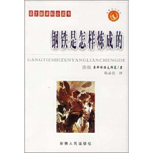 钢铁是怎样炼成的(普及本)