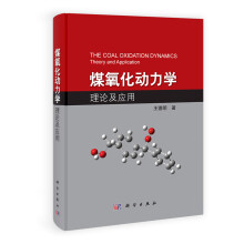 煤氧化动力学理论及应用