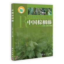 中国棕榈藤