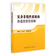 复杂非线性系统的自适应优化控制