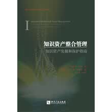知识资产整合管理：知识资产发掘和保护指南
