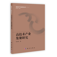 高技术产业经济丛书：高技术产业集聚研究