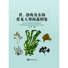 黄、渤海及东海常见大型海藻图鉴