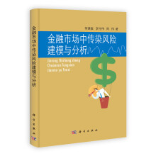 金融市场中传染风险建模与分析