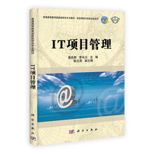 IT项目管理