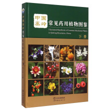 书籍图片