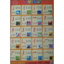 阳光宝贝水晶挂图:偏旁部首