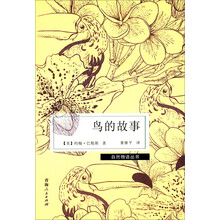 鸟的故事