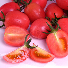 【田阳馆】千禧樱桃小番茄 粉红圣女果 5斤装