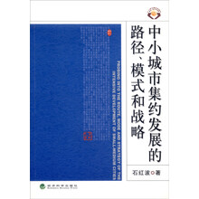 中小城市集约发展的路径、模式和战略