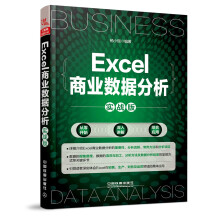 Excel商业数据分析（实战版）