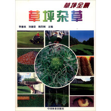 草坪杂草