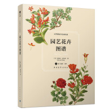 书籍图片