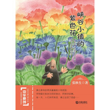 中华原创幻想儿童文学大系：峡谷小镇的紫色花 [7-10岁]