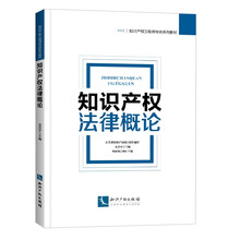 知识产权法律概论 