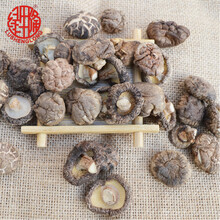 绿生隆 西峡特产小厚菇 香菇干货干菌山珍年货