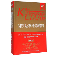 钢铁是怎样炼成的