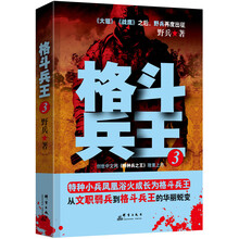 格斗兵王 3