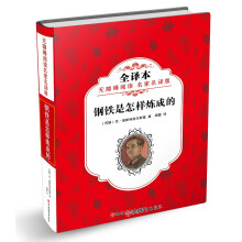 无障碍阅读 名家名译版——钢铁是怎样炼成的