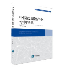中国盐湖锂产业专利导航