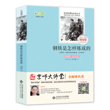 钢铁是怎样炼成的 部编教材八年级下推荐必读 京师大讲堂名师讲名著视频版 著名翻译家吴兴勇点评 全译本