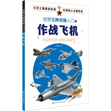世界王牌武器入门之作战飞机