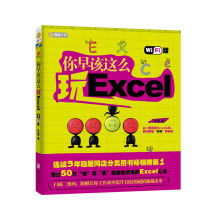 你早该这么玩Excel（Wi-Fi版）