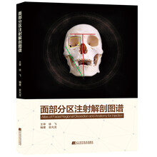 面部分区注射解剖图谱