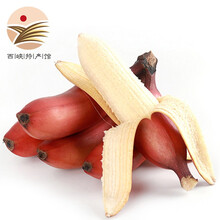 Ͽݡ˽ Ƥ㽶 ˮ 4.5-5װ19.9Ԫȯ