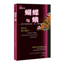 探索发现：蝴蝶与蛾 [青少年、蝴蝶爱好者、昆虫爱好者、自然爱好者、相关学者和专家]