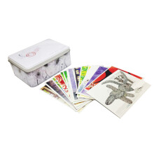 我想送你一盒小卡片：十五年创作精选1998-2005（含64张小卡片+收纳铁盒）