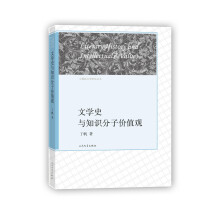 中国新文学研究丛书 文学史与知识分子价值观