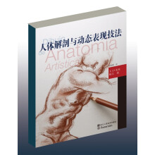 欧洲绘画技法丛书：人体解剖与动态表现技法  [Art of Drawing Anatomy]