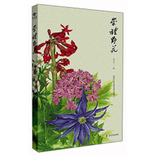 书籍图片
