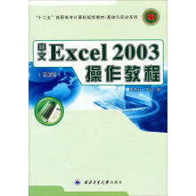 中文Excel 2003操作教程-(第2版)