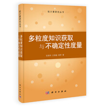 多粒度知识获取与不确定性度量