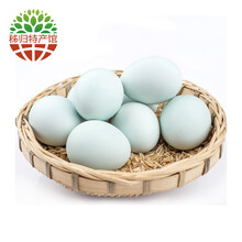 400万+200万+300万+100万+90万只+80万+300万只 近期这些蛋鸡项目签约开工或投产中